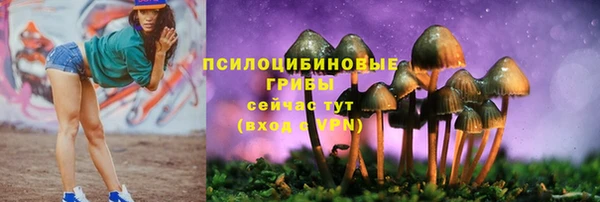 прущая мука Карталы