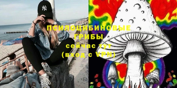МДМА Карпинск