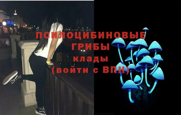 МДМА Карпинск