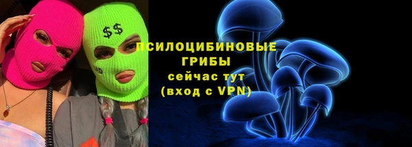 МДМА Карпинск
