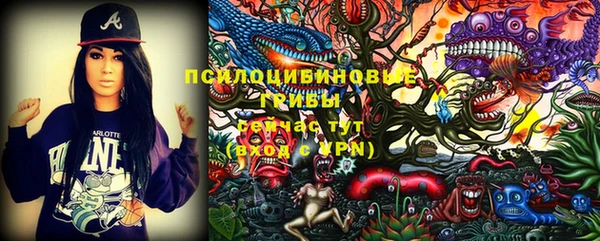 МДМА Карпинск