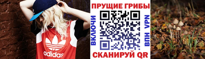 Галлюциногенные грибы мухоморы  Купить закладки  Межгорье 